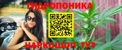 мяу мяу мука Гусиноозёрск