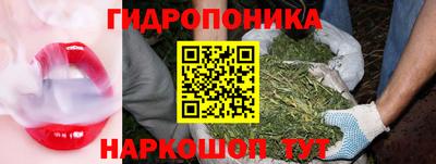 мяу мяу мука Гусиноозёрск