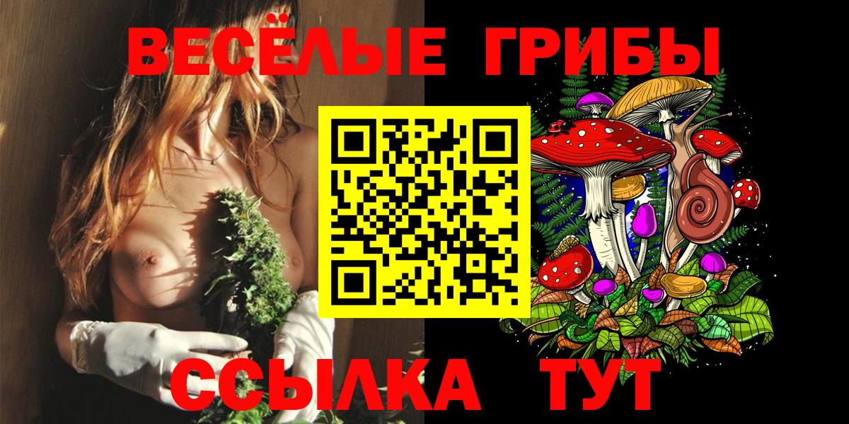 Хасавюрт  Галлюциногенные грибы MAGIC MUSHROOMS  Вход с VPN 